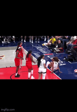 IMG_5176.gif