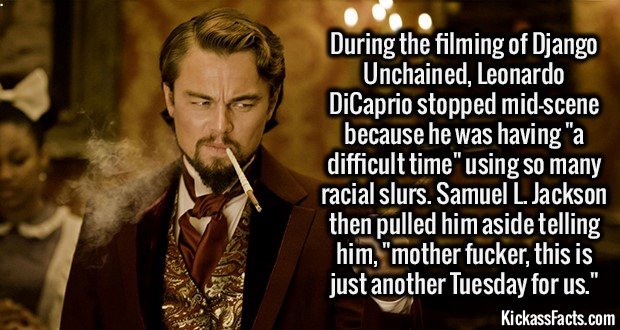2073-Django-Unchained1.jpg