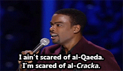 tumblr_m7kdohMLNy1qez631o8_250.gif