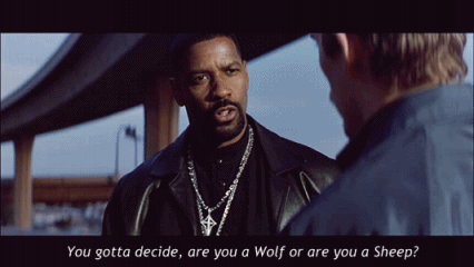 tumblr_mrmxbw8H1N1rerzc4o1_500.gif