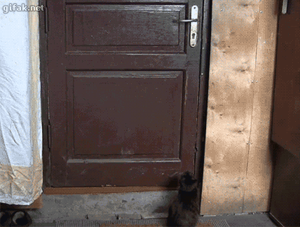 gifs_22.gif