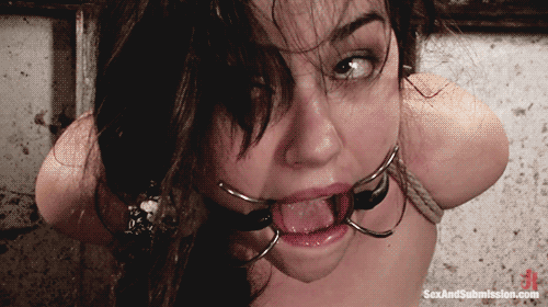 tumblr_mduvfqigYt1rkdunqo1_500.gif