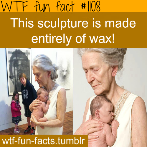 tumblr_mhh2k1Dzfj1roqv59o1_500.png