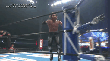 tumblr_ojdwr0NLtj1s05wxzo2_400.gif