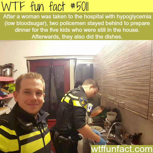 tumblr_nzqno6d1Bu1roqv59o1_500.jpg