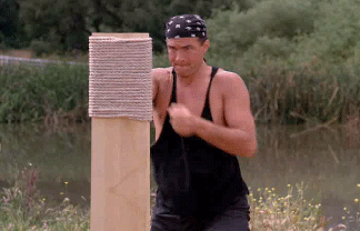 tumblr_li6izn2vq01qi66kho1_400.gif