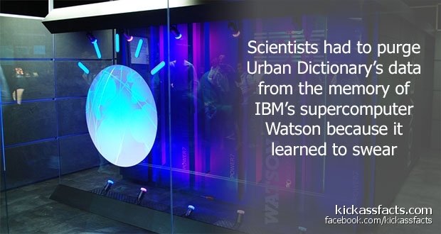 51IBM-Watson.jpg