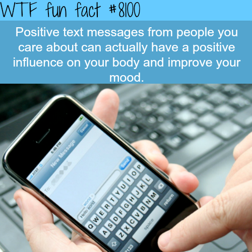 tumblr_oyyghtUAIj1roqv59o1_500.png