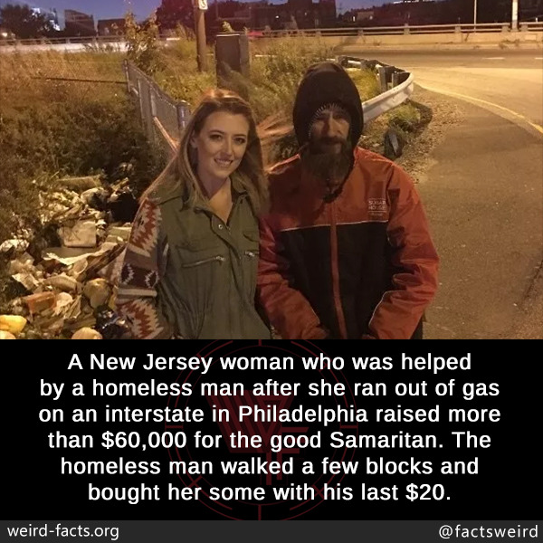 tumblr_ozvkpihwLO1szqwnwo1_1280.jpg