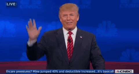 l1dfl4um58gx.gif