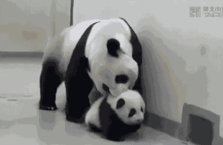 tumblr_inline_n32ipnRZRA1rnvwt1.gif