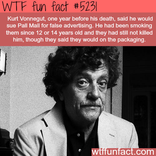 tumblr_o293weBEOh1roqv59o1_500.png