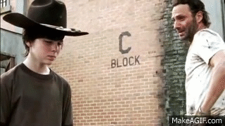 o29evnl1bco5.gif