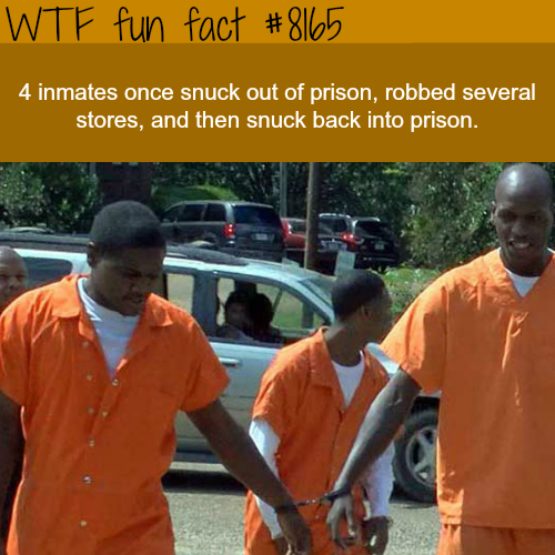 tumblr_ozy24pOA501roqv59o1_500.png