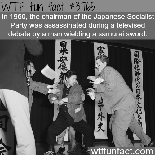 tumblr_nlujlo4bwt1roqv59o1_500.png