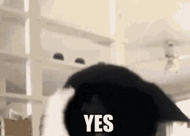 K5M96.gif