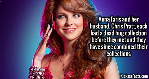 1257-Anna-Faris.jpg