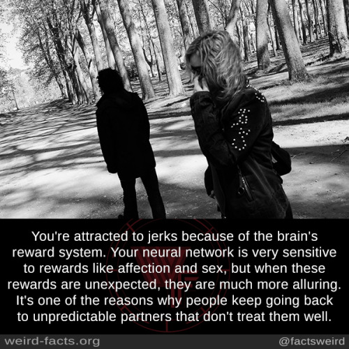 tumblr_oub7vvQAXj1szqwnwo1_500.jpg