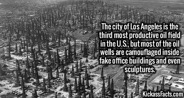 2026-Los-Angeles-Oil-Fields.jpg
