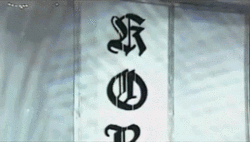tumblr_mrorrp4P8i1sookfro1_250.gif