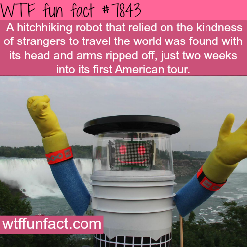 tumblr_ouy0o01Qpe1roqv59o1_500.png