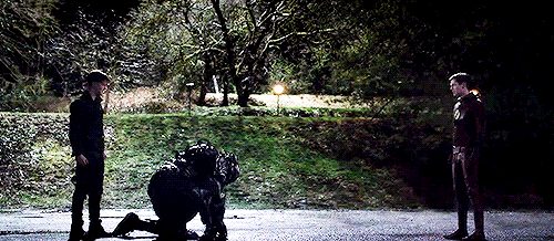 tumblr_opcsck7VU71tnvsx0o3_500.gif