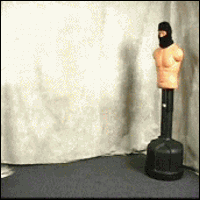 tumblr_mmgnxb52ez1sooi2io1_250.gif