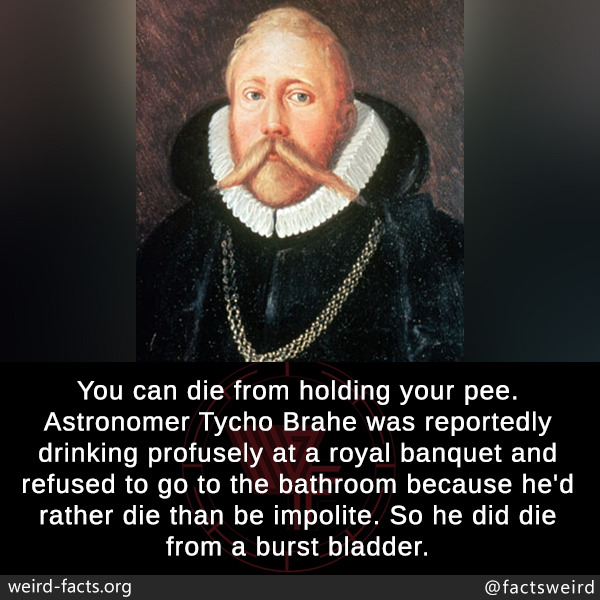 tumblr_ozke0vPY4f1szqwnwo1_1280.jpg
