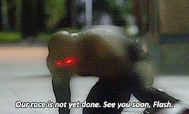 tumblr_ngcm50Bqpy1qfw6kdo8_400.gif