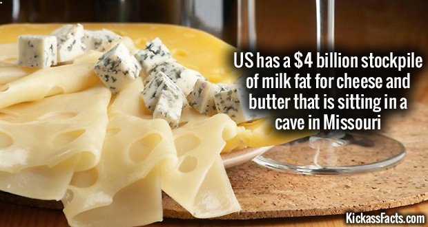 937-Milk-Fat-Reserves.jpg