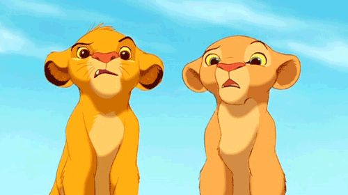 Simba-Nala-Shocked-Stare-Gif-In-The-Lion-King.gif
