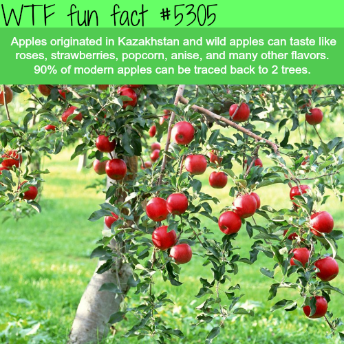 tumblr_o34ewl29SQ1roqv59o1_500.png