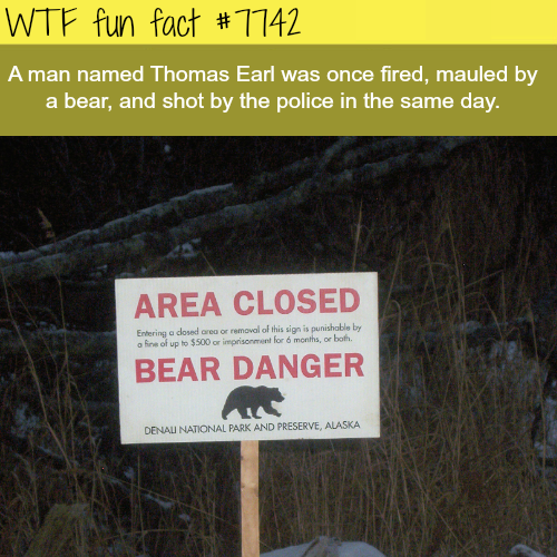 tumblr_otm284C0DZ1roqv59o1_500.png