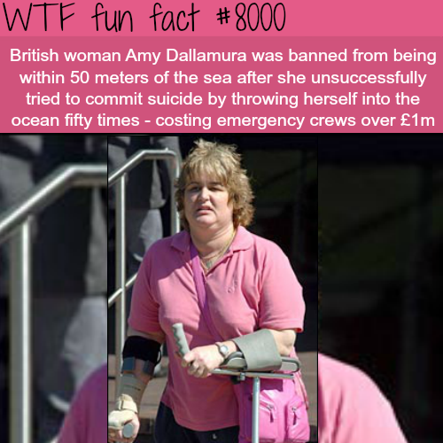 tumblr_oxbi73EWfa1roqv59o1_500.png