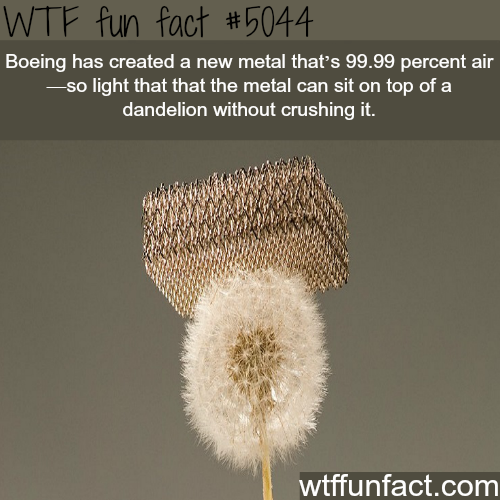 tumblr_o03va4rC8a1roqv59o1_500.png