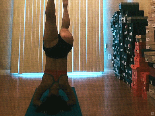tumblr_nkq2bbCrCv1qixedeo2_540.gif