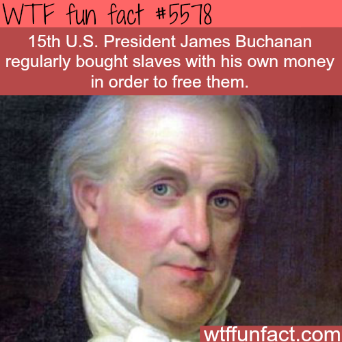 tumblr_o54iwmJMBI1roqv59o1_500.png