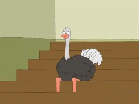 68giapt3l8p3.gif