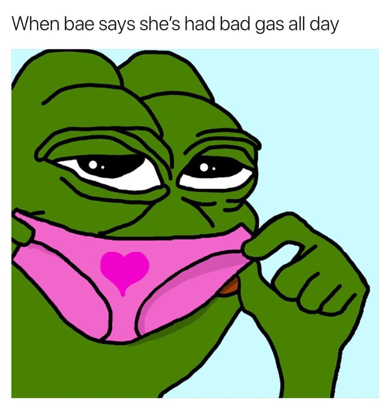 4aecatid33xu.jpeg