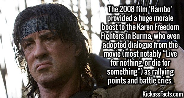 2587-Rambo.jpg