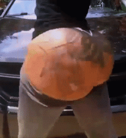 tumblr_lyhd9mWBZi1r5rd7qo8_r1_250.gif