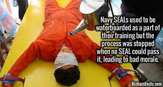 2216-Waterboarding-Seals1.jpg