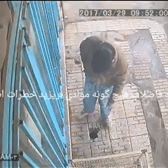 036218wnksbo.gif