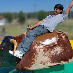 robo_bull.jpg