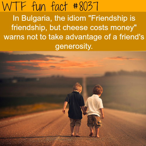 tumblr_oxxskaJrK11roqv59o1_500.png