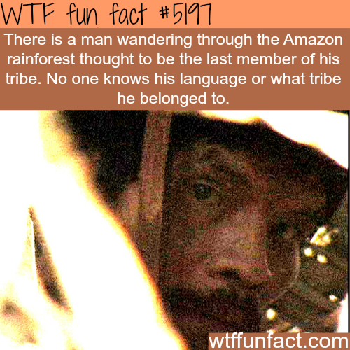 tumblr_o1u1u3oXlA1roqv59o1_500.png