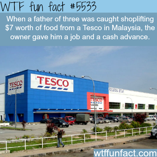 tumblr_o4noijrz4X1roqv59o1_500.png
