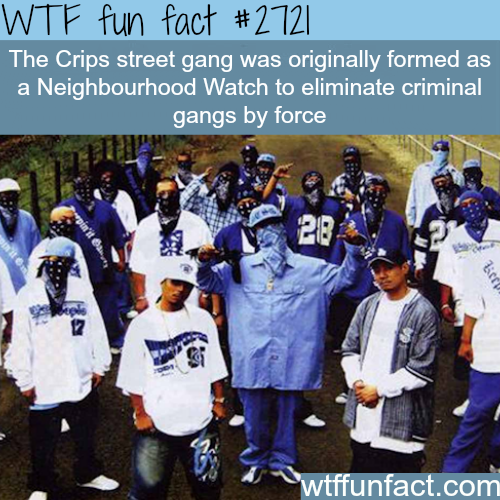 tumblr_n8d1jj2lnE1roqv59o1_500.png