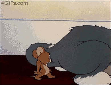s2lkxpujmfdo.gif