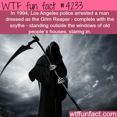 tumblr_nr1g1bHfYe1roqv59o1_500.png
